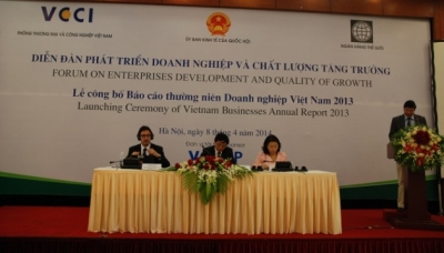 Опубликован ежегодный доклад о вьетнамских предприятиях 2013 года